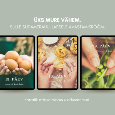 E-raamat "Peremenüü" - Image 3