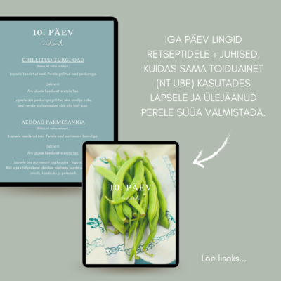 E-raamat "Peremenüü" - Image 4
