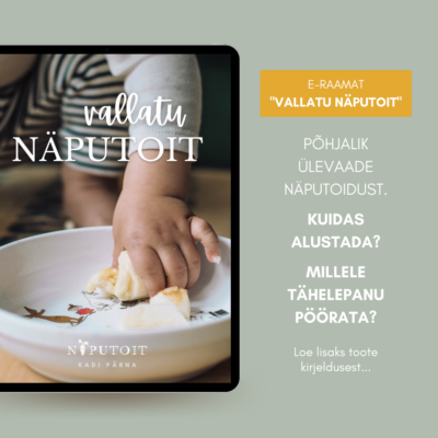 Näputoidu-raamat-teooria